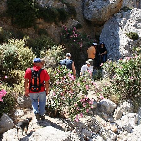 Philoxenia Rooms Σητεία Εξωτερικό φωτογραφία