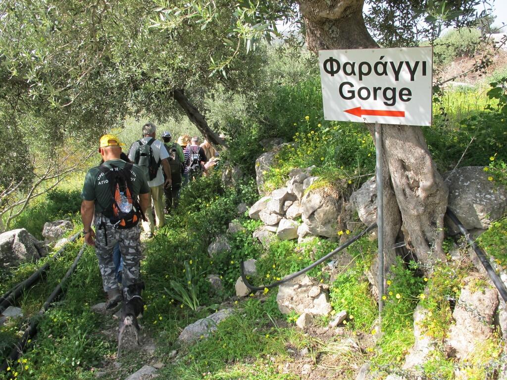 Philoxenia Rooms Σητεία Εξωτερικό φωτογραφία